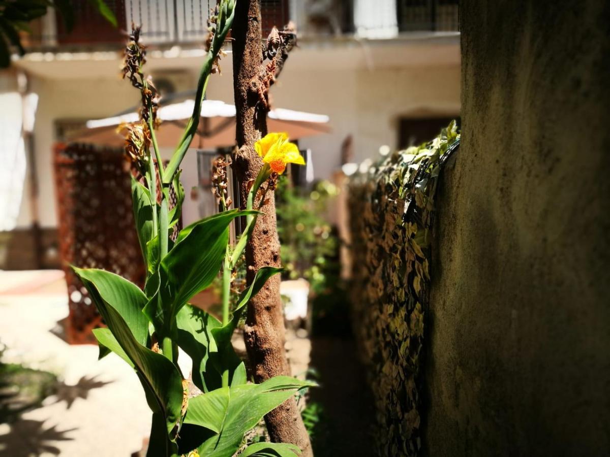 Bed and Breakfast Bella Palermo Exterior foto