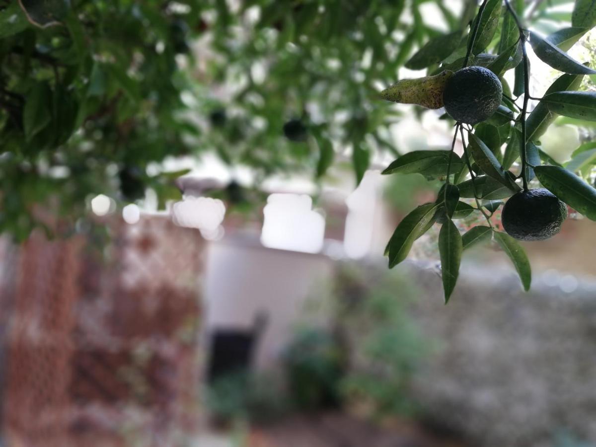 Bed and Breakfast Bella Palermo Exterior foto