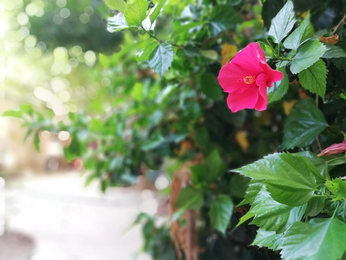 Bed and Breakfast Bella Palermo Exterior foto