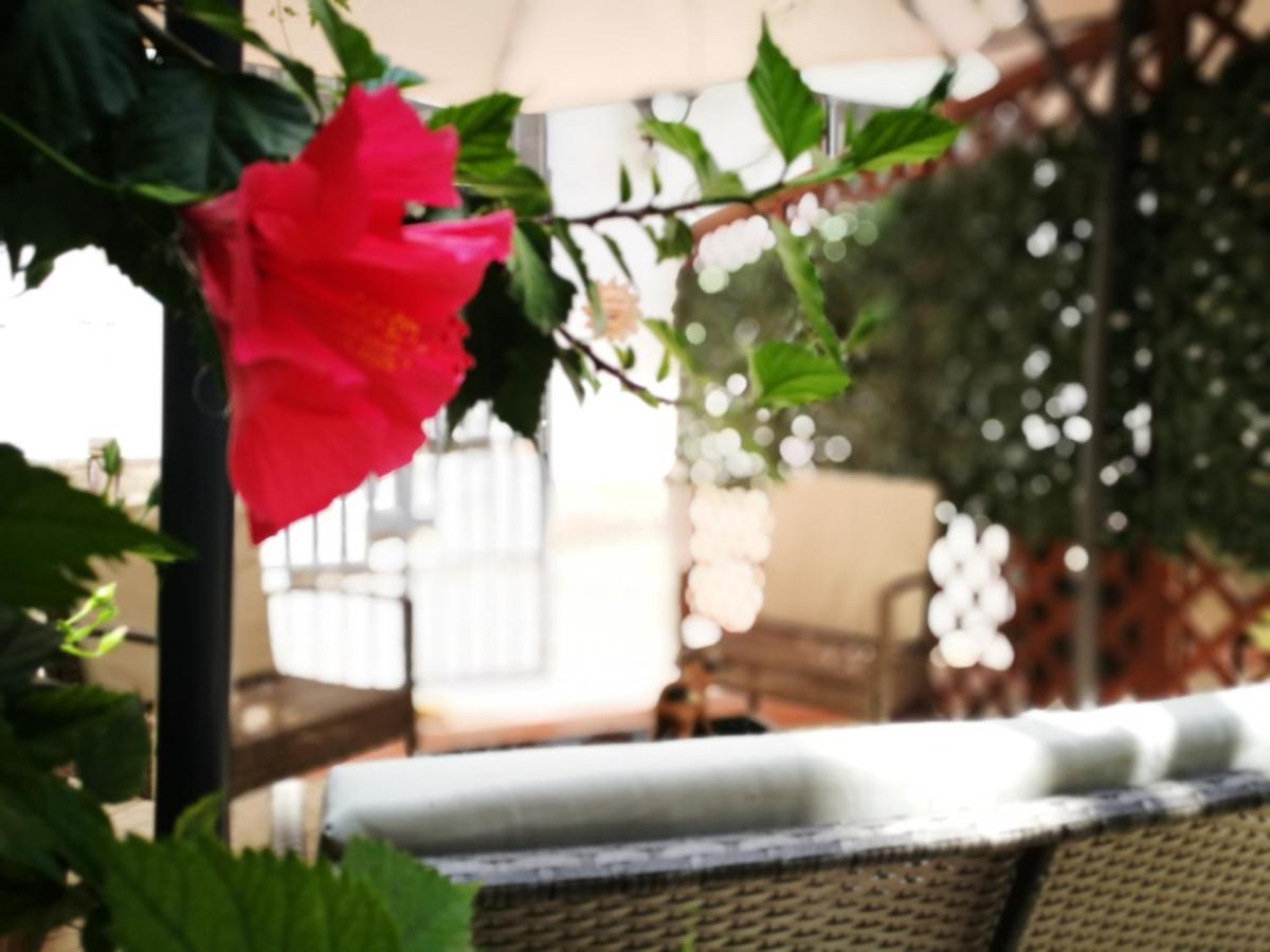 Bed and Breakfast Bella Palermo Exterior foto