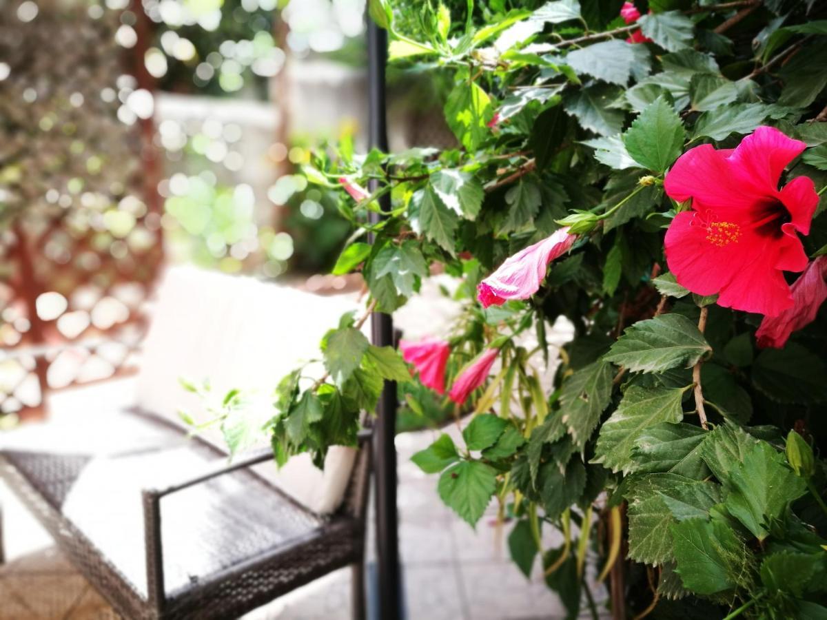 Bed and Breakfast Bella Palermo Exterior foto
